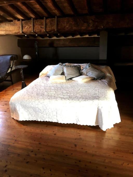 Romantic Studio In The Historical Heart Of Padova Kültér fotó